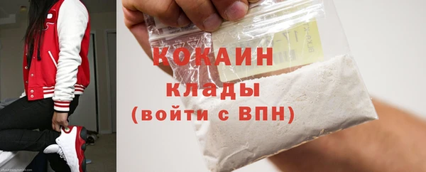 прущие грибы Баксан