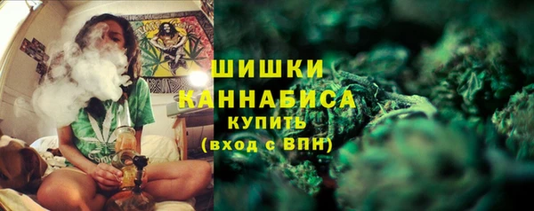 прущие грибы Баксан