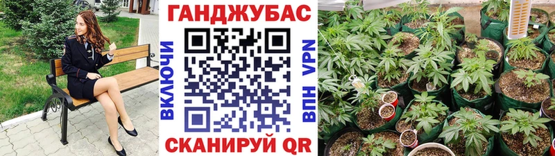 Конопля конопля  кракен рабочий сайт  Лениногорск 